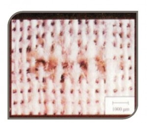 PRETREATMENT-AUXILIARIES_17