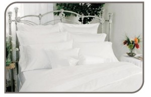 PRETREATMENT-AUXILIARIES_20